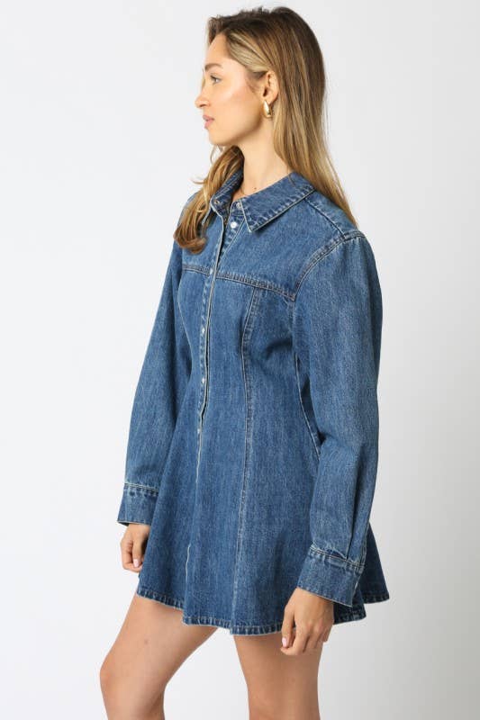 Angelina A Line Denim Button Down Dress