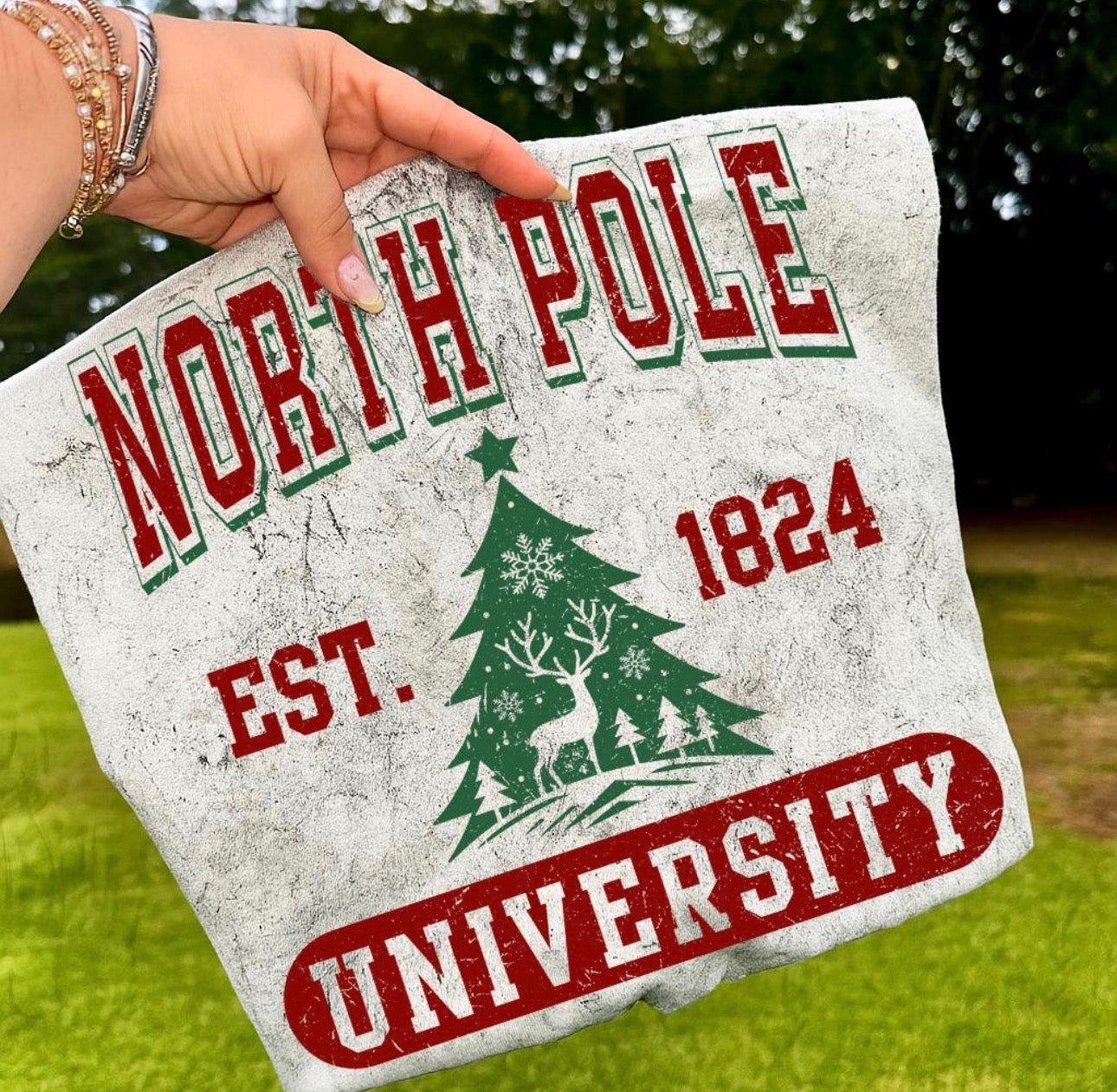 North Pole University Colorblast Graphic T-Shirt