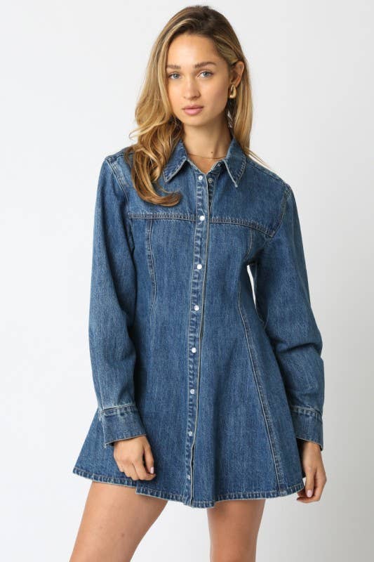 Angelina A Line Denim Button Down Dress