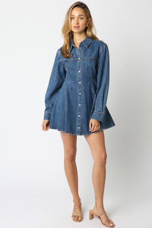 Angelina A Line Denim Button Down Dress