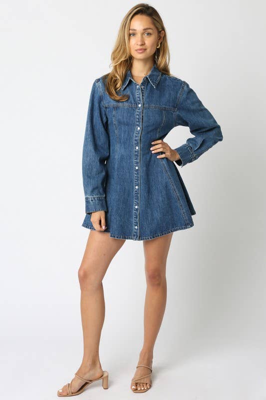 Angelina A Line Denim Button Down Dress