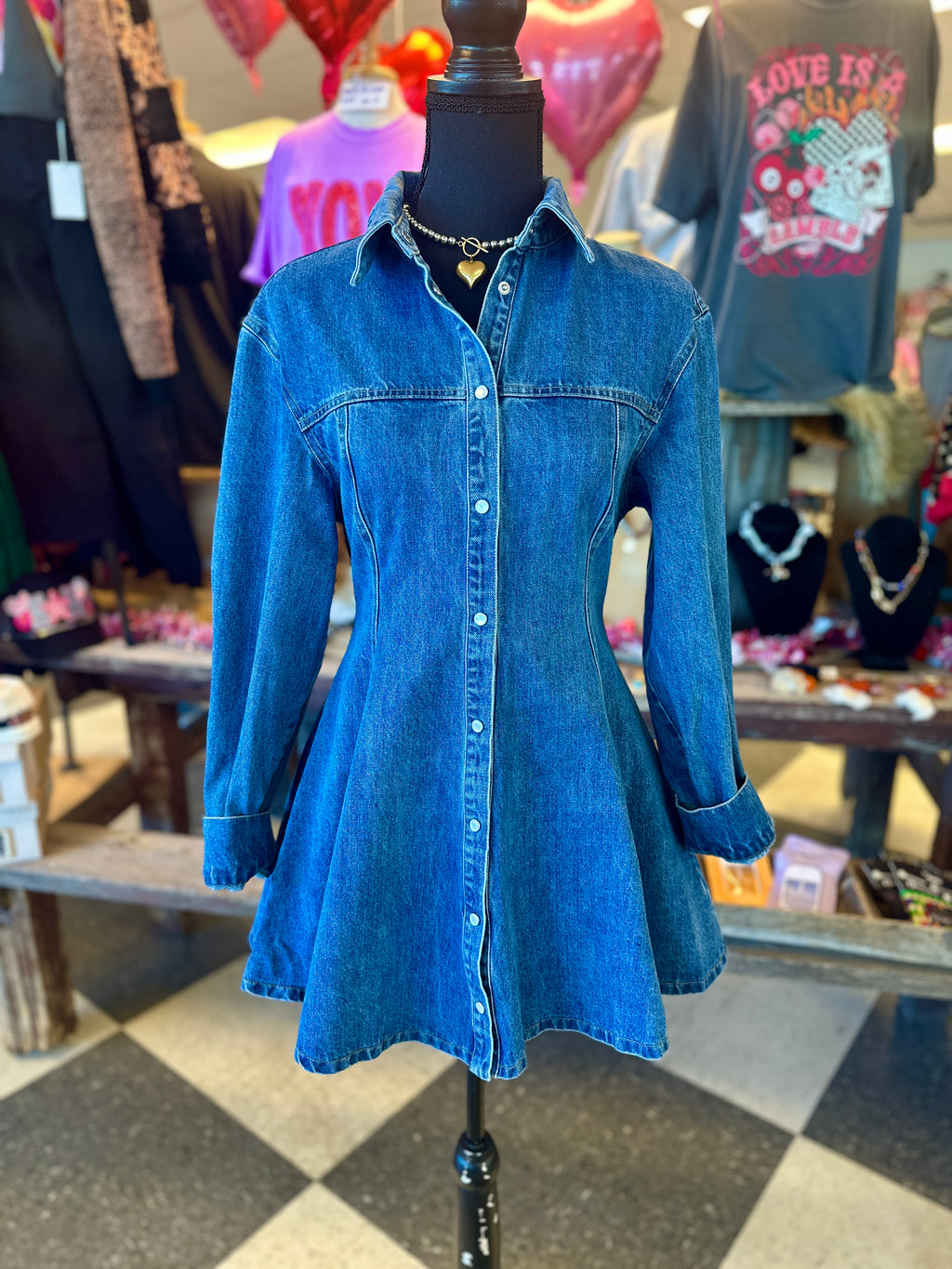 Angelina A Line Denim Button Down Dress